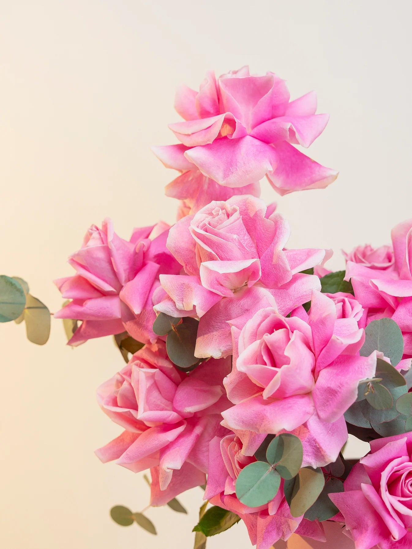 BLOOME Pink Grace – cutie eleganta cu trandafiri roz