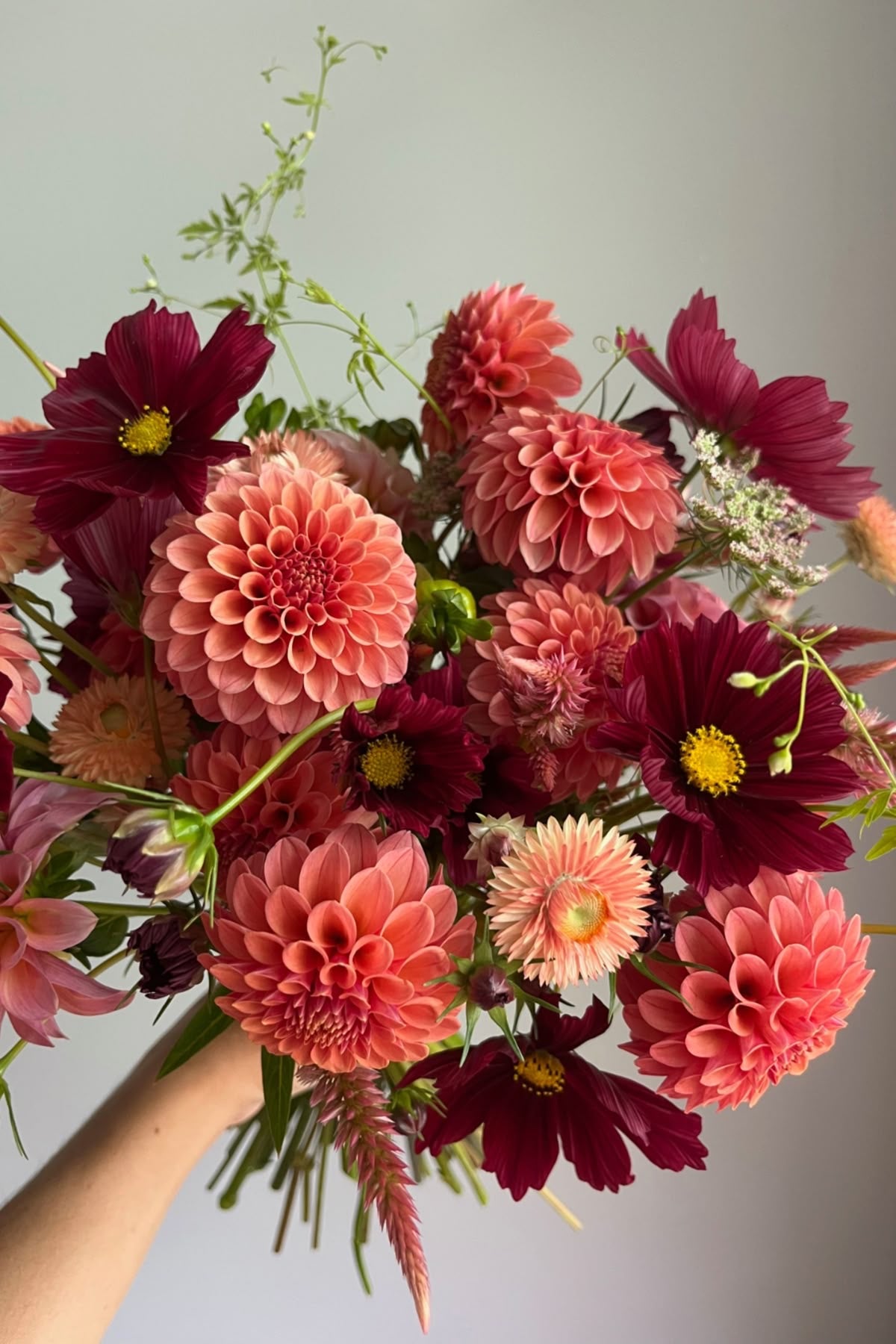 Buchet cu Dahlia și Cosmos Burgundy