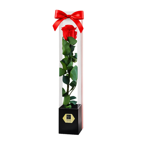 Trandafir Criogenat Rosu in Cutie Premium – Lulu Rose Cadou Elegant de Valentine’s Day