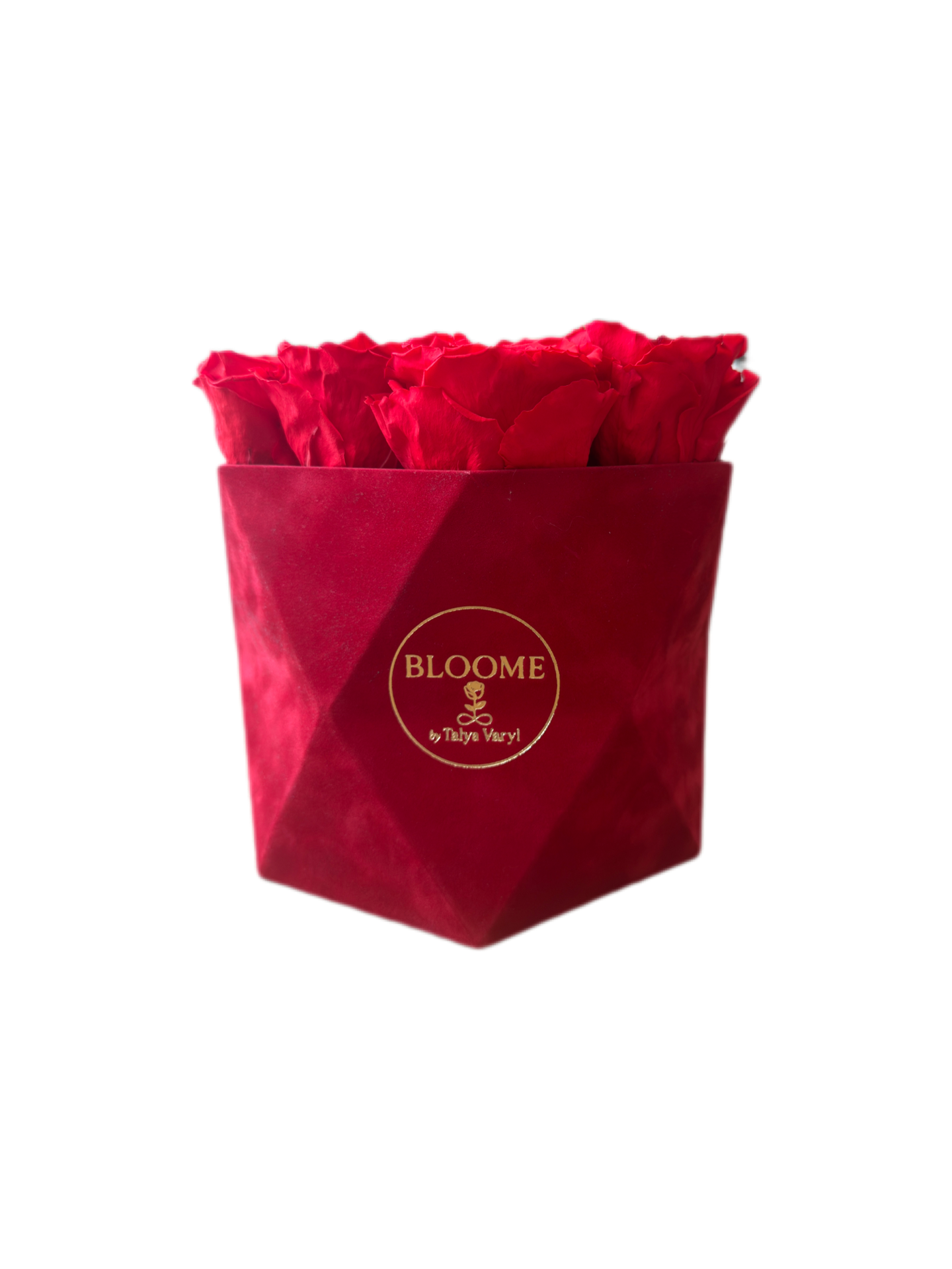 Red Velvet Hexagon 🌹