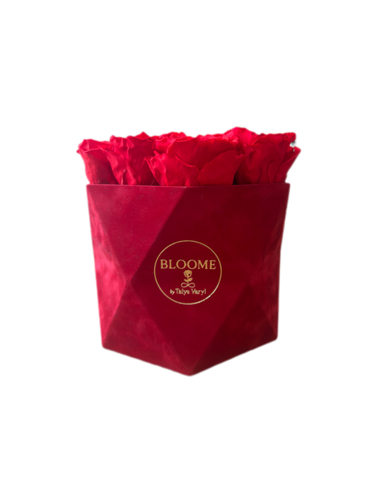 Red Velvet Hexagon 🌹