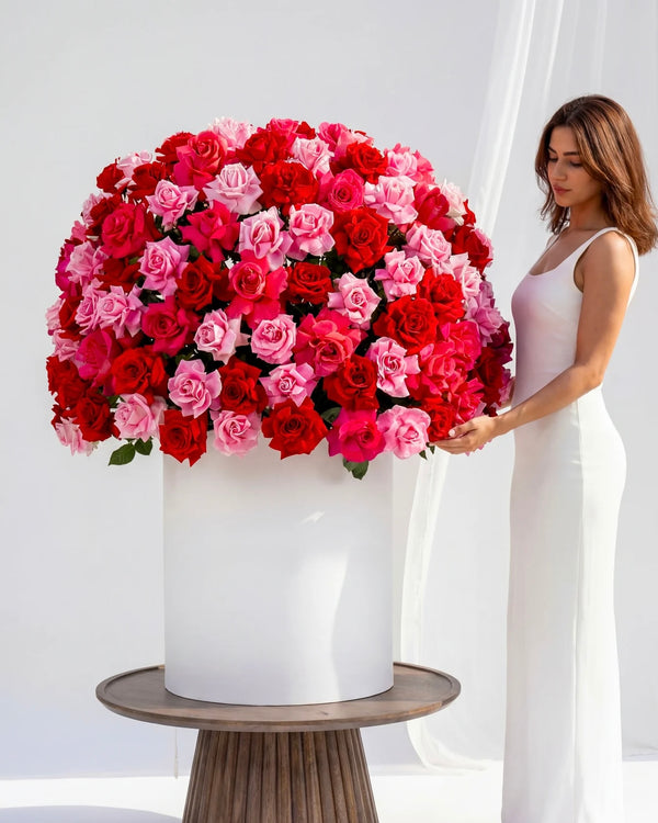 BLOOME ROYAL ROSE DOME – Signature Collection