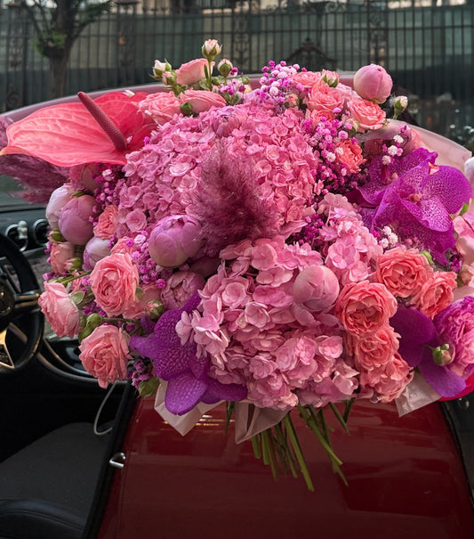 PINK OPERA